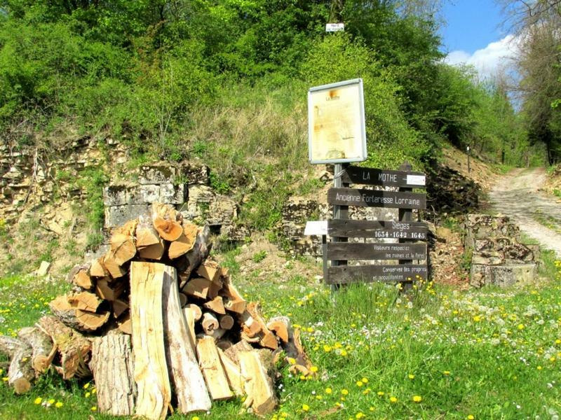 مبيت وإفطار Soulaucourt-sur-Mouzon La Taniere Douce المظهر الخارجي الصورة